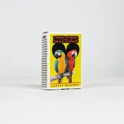 Love Birds - A 99 Piece Matchbox Jigsaw Puzzle by Murtaza M. Bookwala - Thumbnail Image