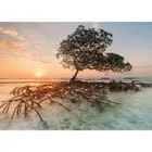 Red Mangrove - A 1000 Piece Jigsaw Puzzle - Image 2 Thumbnail